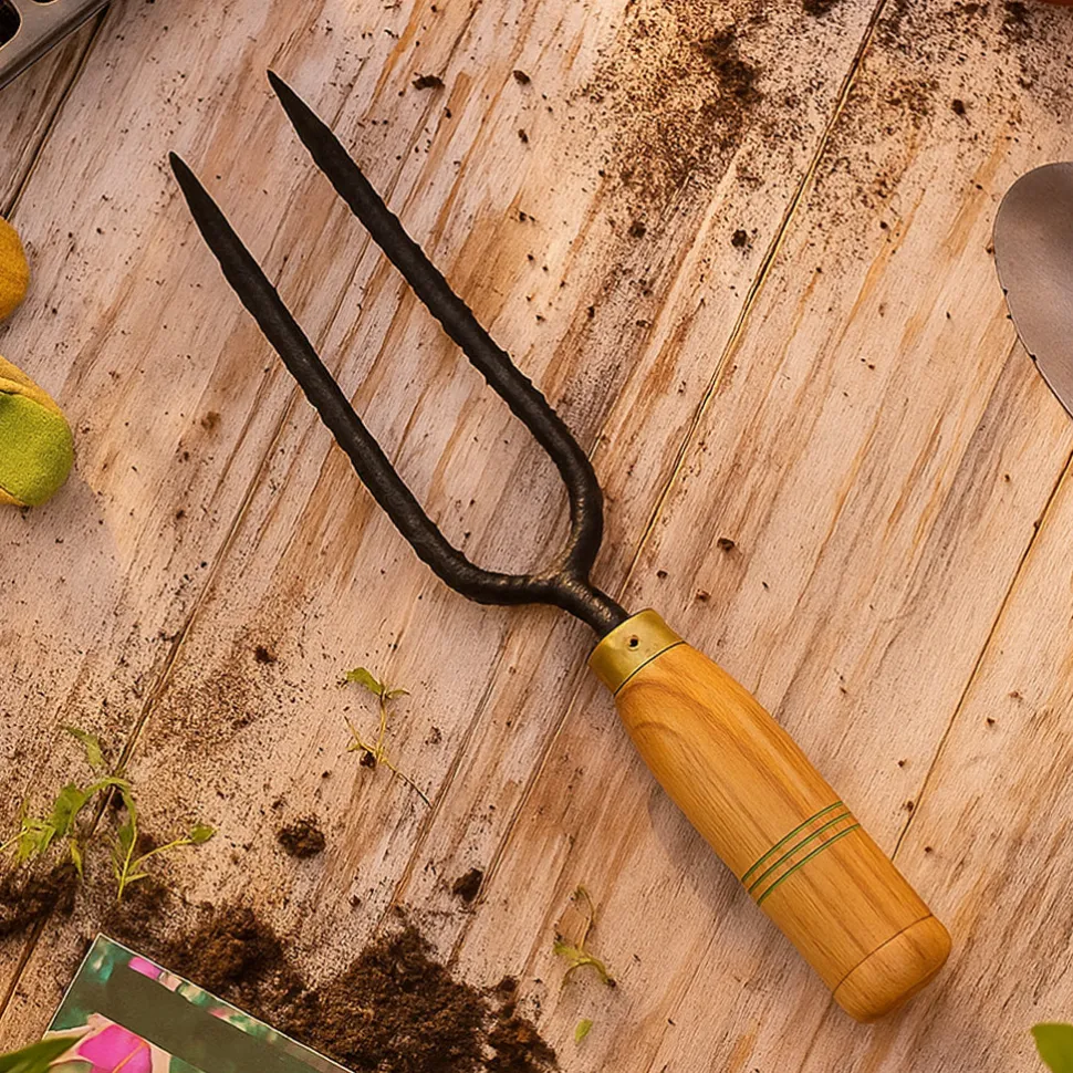 Double Prong Weeder