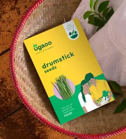 Drumstick Seeds (Moringa)