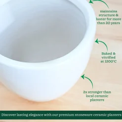 Echoing Eternity Ceramic Planter