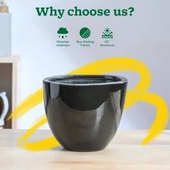 Echoing Eternity Ceramic Planter