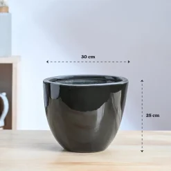 Echoing Eternity Ceramic Planter