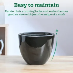 Echoing Eternity Ceramic Planter