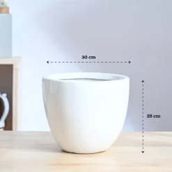 Echoing Eternity Ceramic Planter