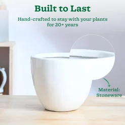 Echoing Eternity Ceramic Planter