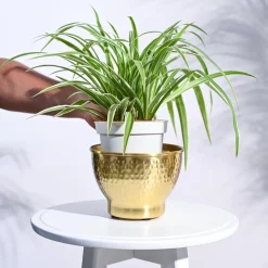 Elegance Planter