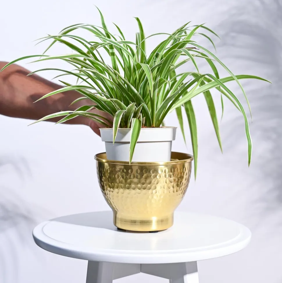 Elegance Planter
