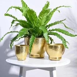 Elegance Planter