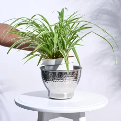 Elegance Planter