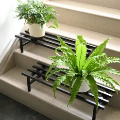 Elevate Plant Stand Set of 2