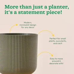 Erika Planter