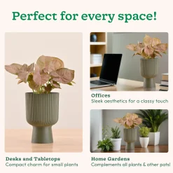 Erika Planter