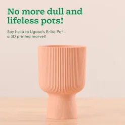 Erika Planter