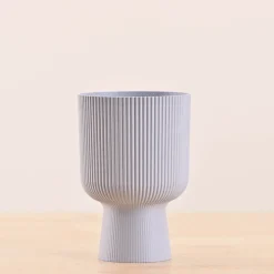 Erika Planter
