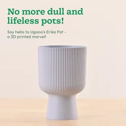 Erika Planter