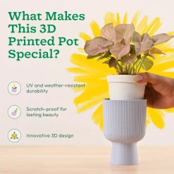 Erika Planter