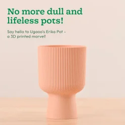 Erika Planter