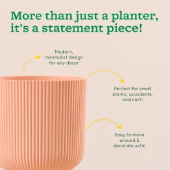 Erika Planter
