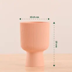 Erika Planter