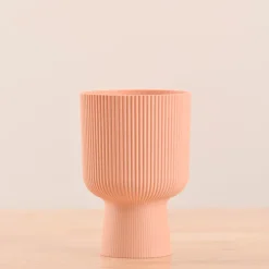Erika Planter