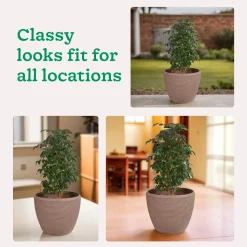 Euro Plastic Planter