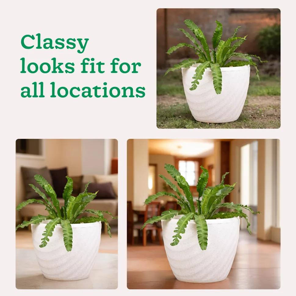 Euro Plastic Planter