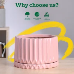 Fleeting Bliss Ceramic Planter