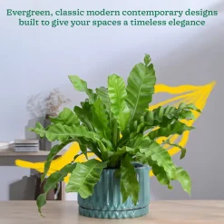 Fleeting Bliss Ceramic Planter