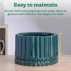 Fleeting Bliss Ceramic Planter