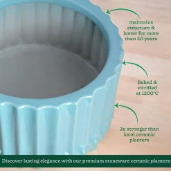 Fleeting Bliss Ceramic Planter