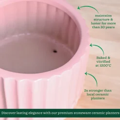 Fleeting Bliss Ceramic Planter