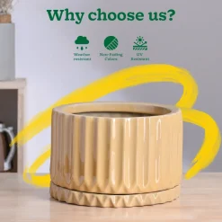 Fleeting Bliss Ceramic Planter