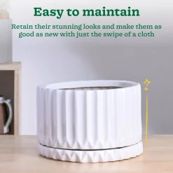 Fleeting Bliss Ceramic Planter