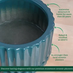 Fleeting Bliss Ceramic Planter