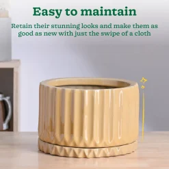 Fleeting Bliss Ceramic Planter