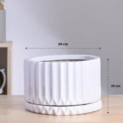 Fleeting Bliss Ceramic Planter