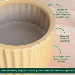 Fleeting Bliss Ceramic Planter