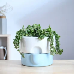 Flower Sunflower Ceramic Planter