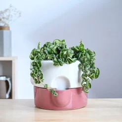 Flower Sunflower Ceramic Planter