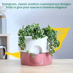 Flower Sunflower Ceramic Planter