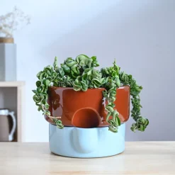 Flower Sunflower Ceramic Planter