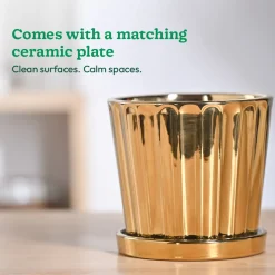 Fluted ceramic pot- 5 inch