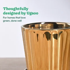 Fluted ceramic pot- 5 inch
