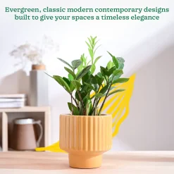 Forms of Love Ceramic Planter