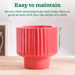 Forms of Love Ceramic Planter