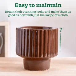 Forms of Love Ceramic Planter