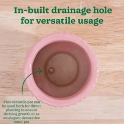 Forms of Love Ceramic Planter
