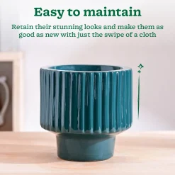 Forms of Love Ceramic Planter