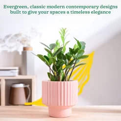 Forms of Love Ceramic Planter
