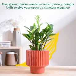 Forms of Love Ceramic Planter
