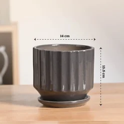 Frosted Ceramic Pot